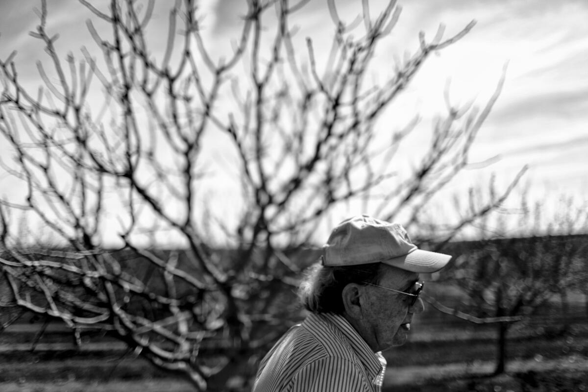 Fred Lujan, 68, was dreaming of a retirement as a gentleman farmer tending his pistachio trees in the town of Terra Bella. The drought changed that.