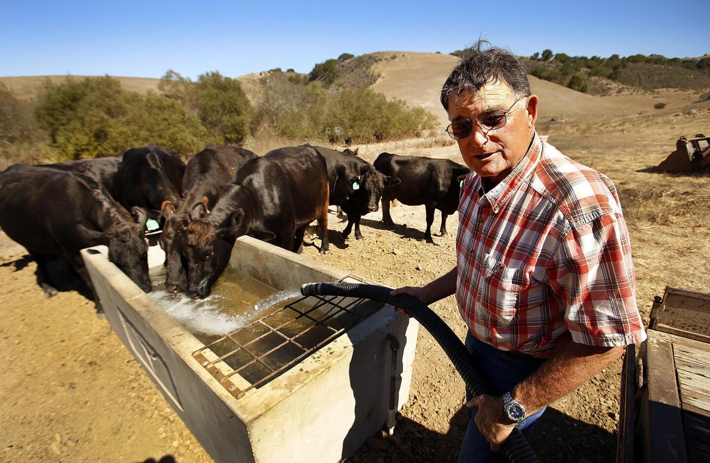 Filling a trough with water