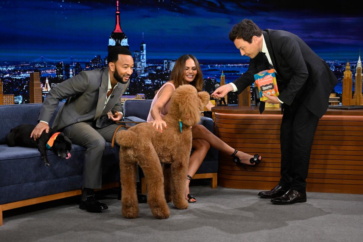 A poodle stands next to Jimmy Fallon, who is standing in front of John Legend and Chrissy Teigen, who are seated with a dog.