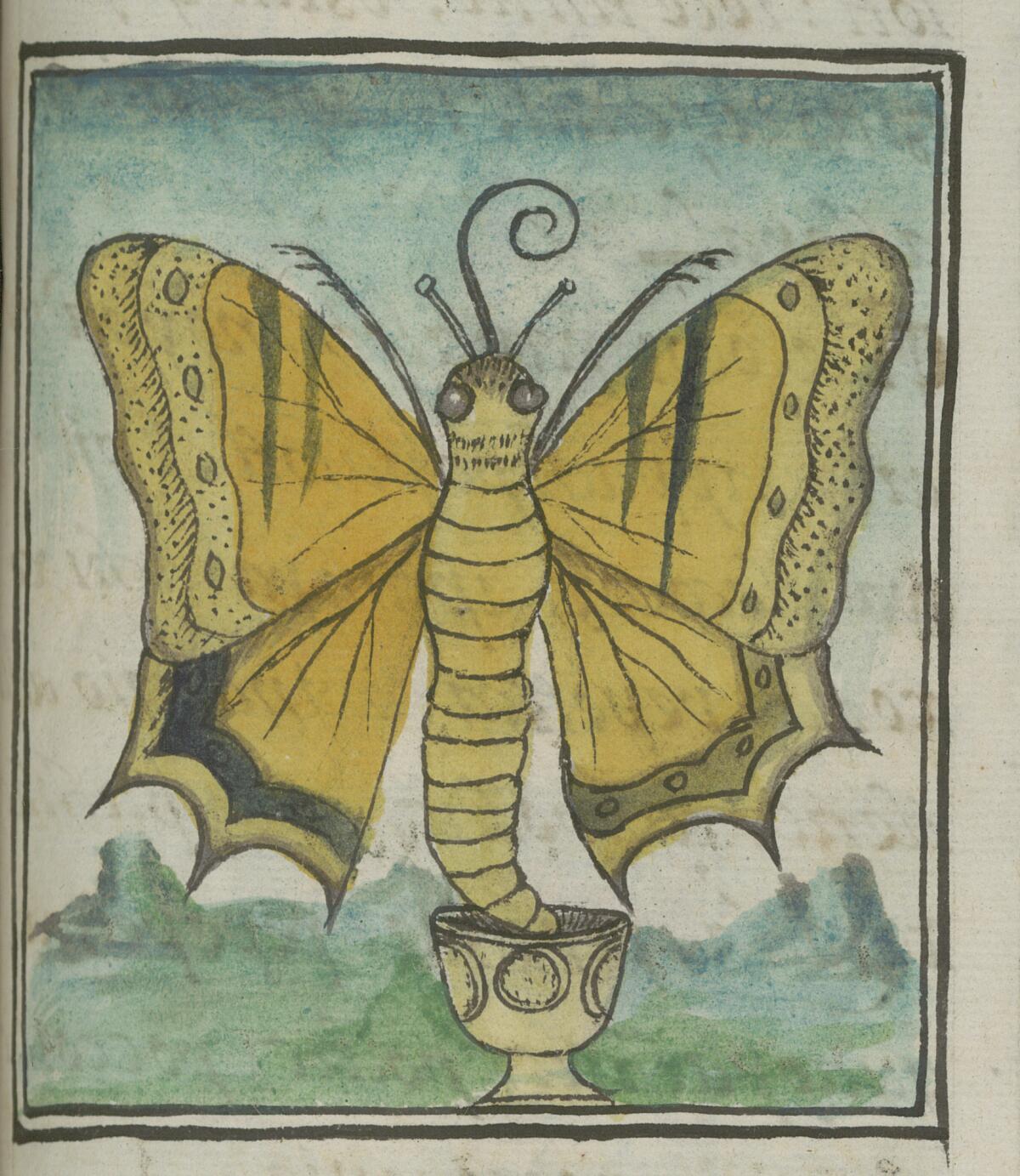 A colonial-era illustration with gentle washes of blue and yellow shows a large butterfly emerging from its chrysalis.
