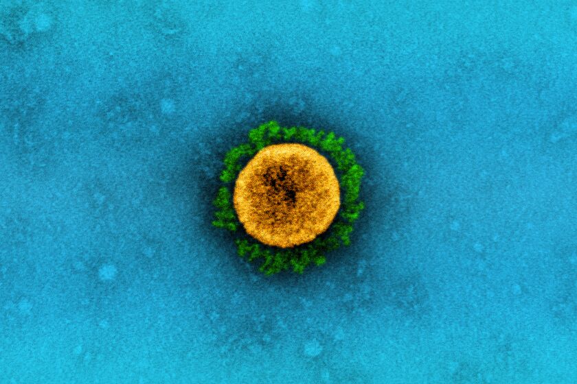 A SARS-CoV-2 virus particle isolated from a patient with the B.1.1.7 variant from the U.K.