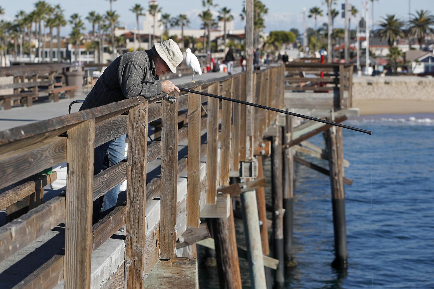 Newport Beach considers recycling program for Balboa Pier anglers' fishing  lines - Los Angeles Times