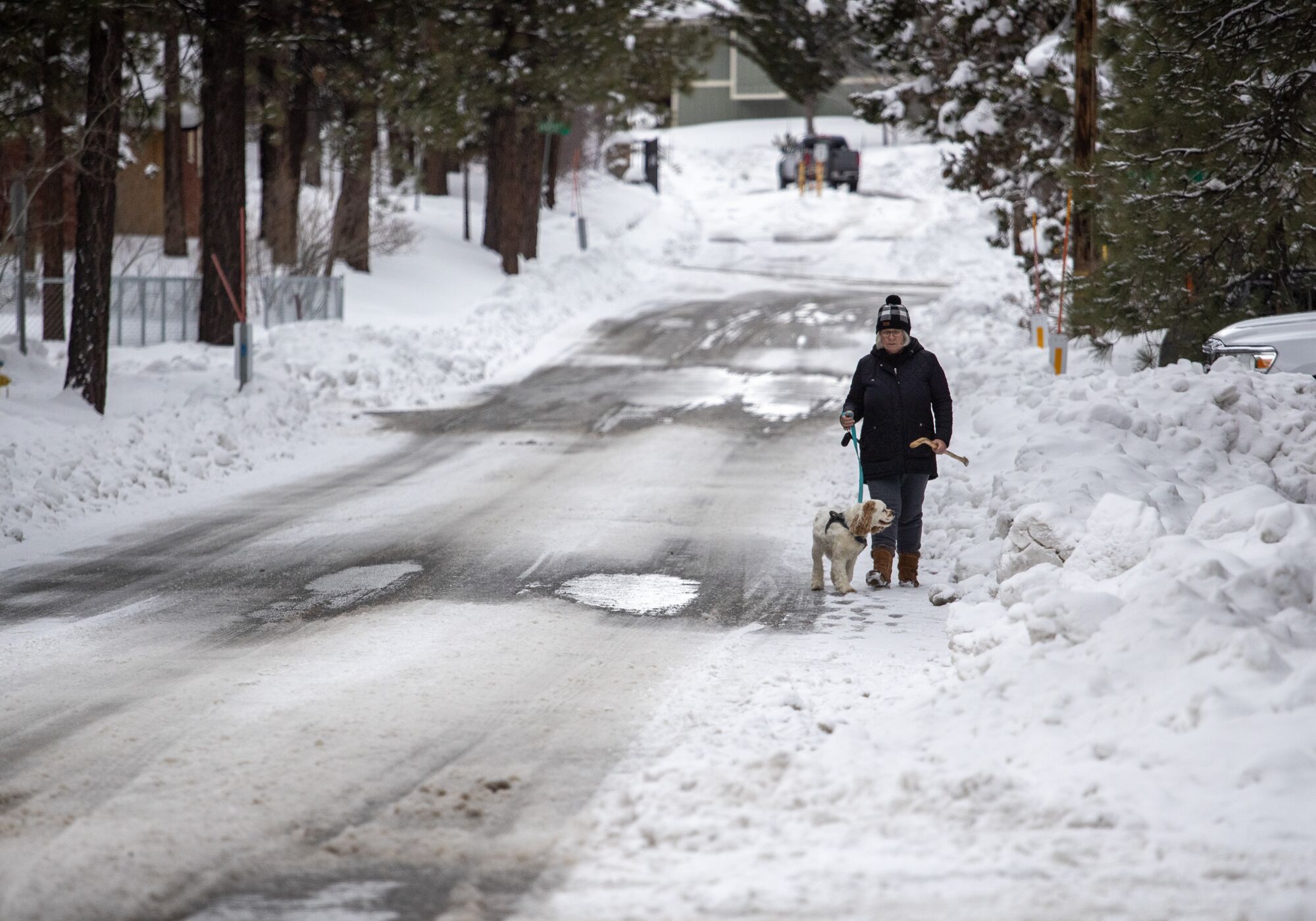 Karen Brianza walks her dog on an icy street in Big Bear.