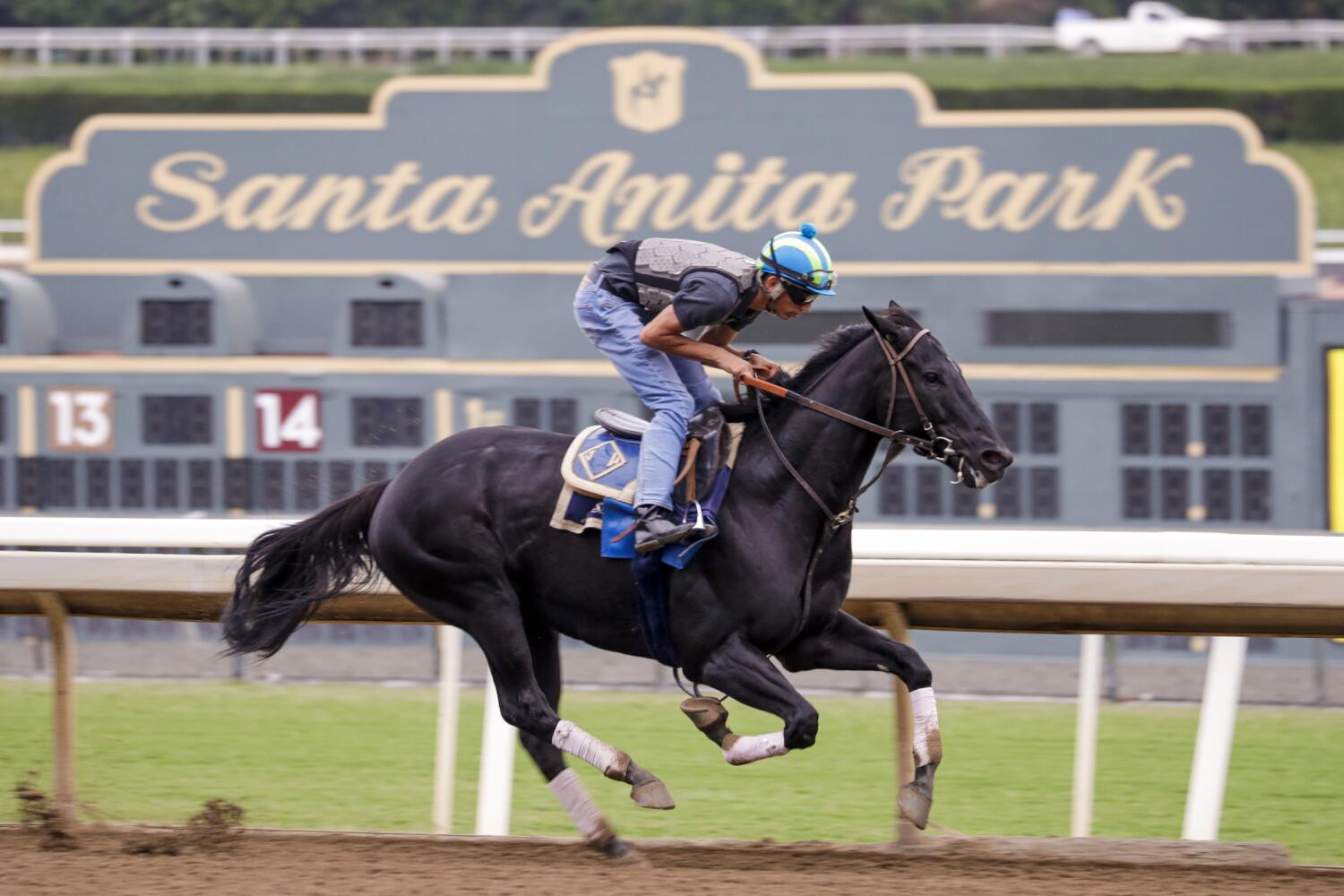 Q&A: How long can Santa Anita Park survive? 'If things don't get better...shorter window'