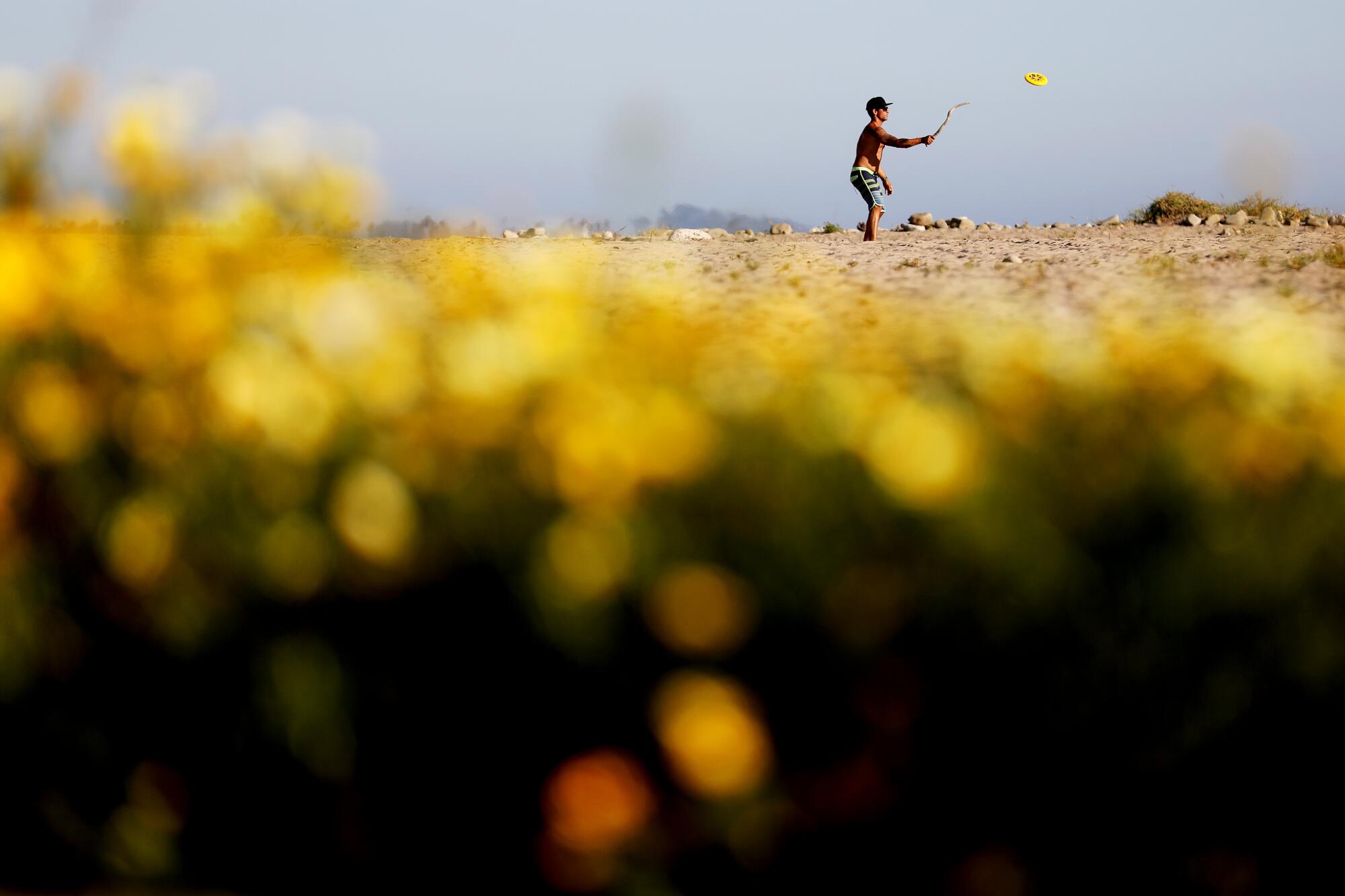 Brian Chapman of Santa Monica plays Frisbee at the beach in Ventura. "We came up for the beach because all of the beaches in Los Angeles are closed," said Chapman.