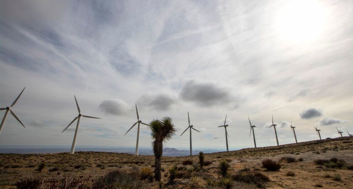 Joshua trees and wind turbines near Mojave, Calif.