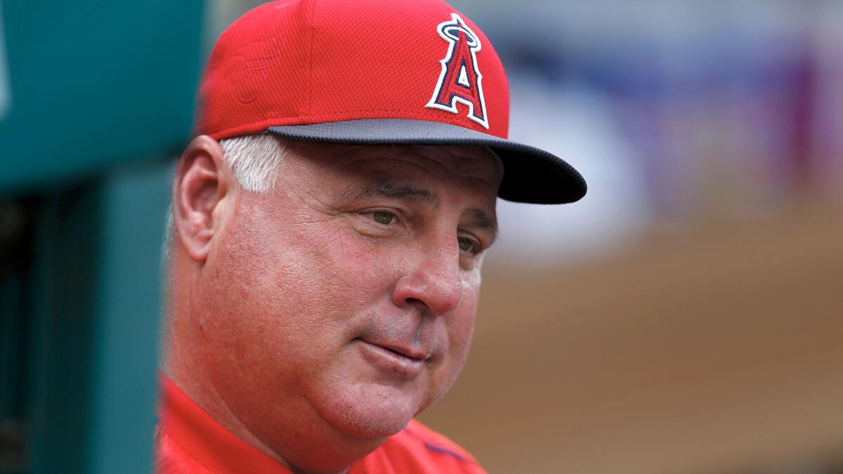 Angels Manager Mike Scioscia watches his team play the Houston Astros on June 27.
