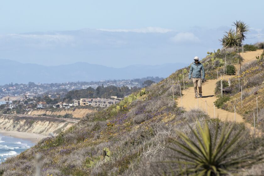 People hike the Guy Fleming Trail at Torrey Pines on Tuesday, March 7, 2023.