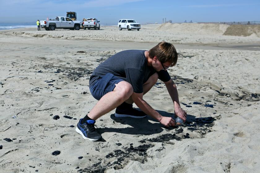 Nevada science teacher Nick Orr, visiting his family, collects crude oil and sand for a future experiment with his students at the mouth of the Santa Ana River in Newport Beach on Sunday, Oct. 3, 2021. An off-shore pipe line burst the day before, leaking oil which washed up all along the Newport Beach and Huntington Beach shorelines. Seagulls were seen with oil on their feathers while an Orange County Public Works team created a berm at the mouth of the Santa Ana River to stop any additional oil from entering upstream. Oil slicks were also seen at the Talbert Marsh.