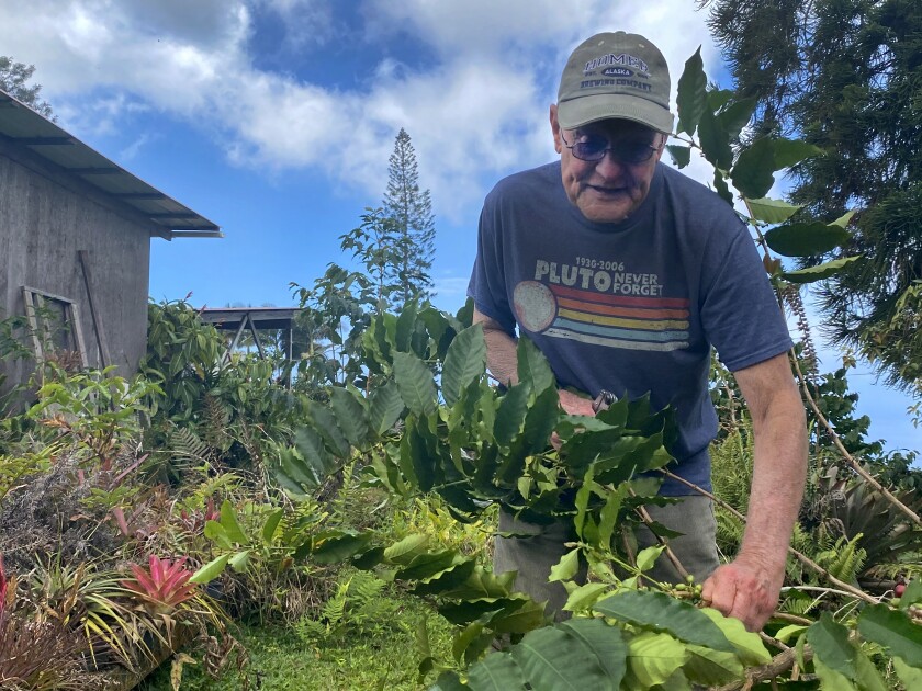 Bob Smith, coffee grower