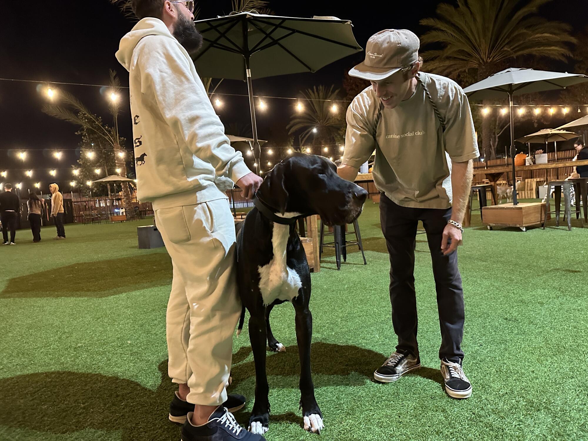 Two men stand with a Great Dane.