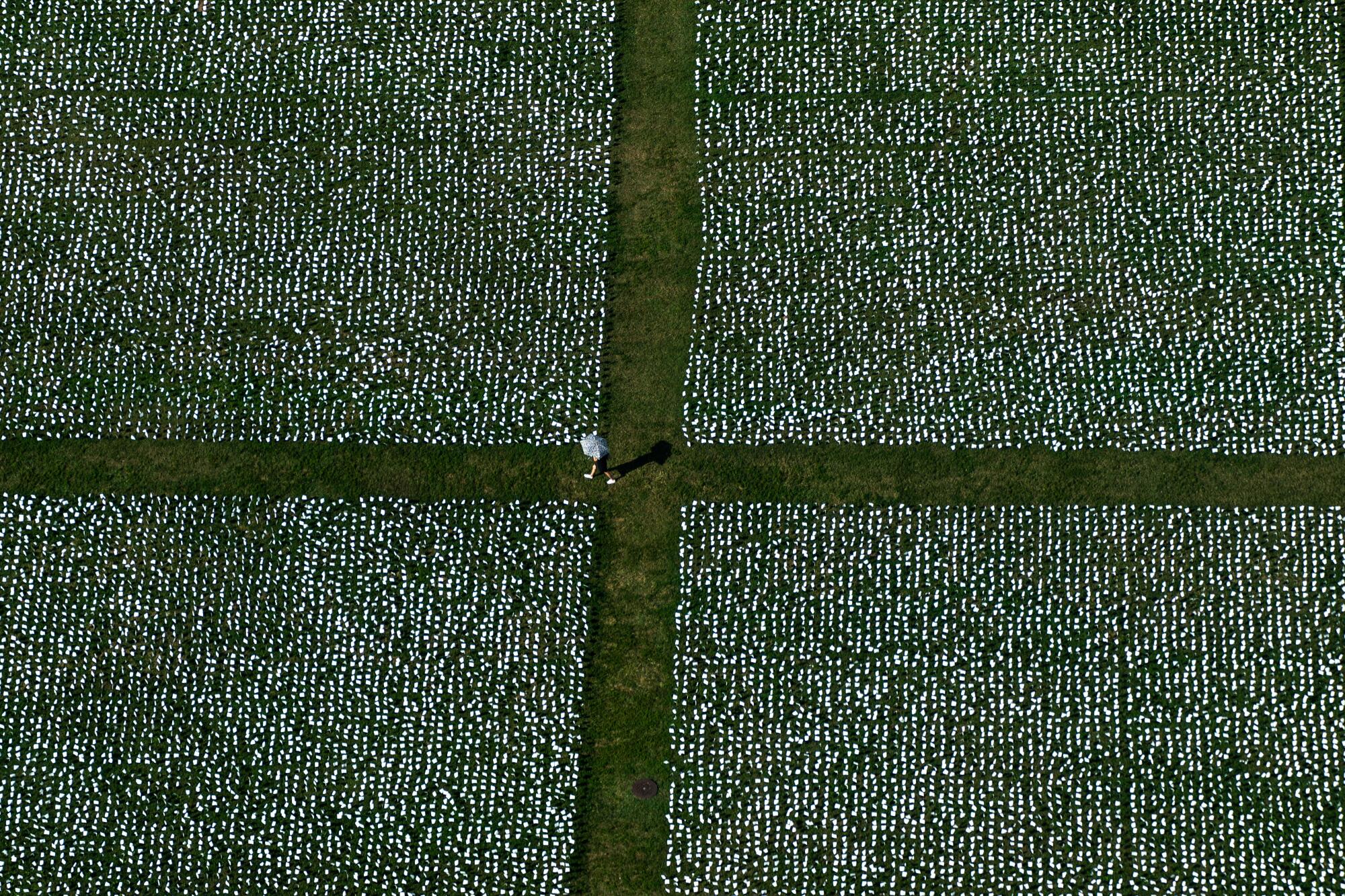 A person stands at the corner of four blocks of white flags in the grass, seen from above