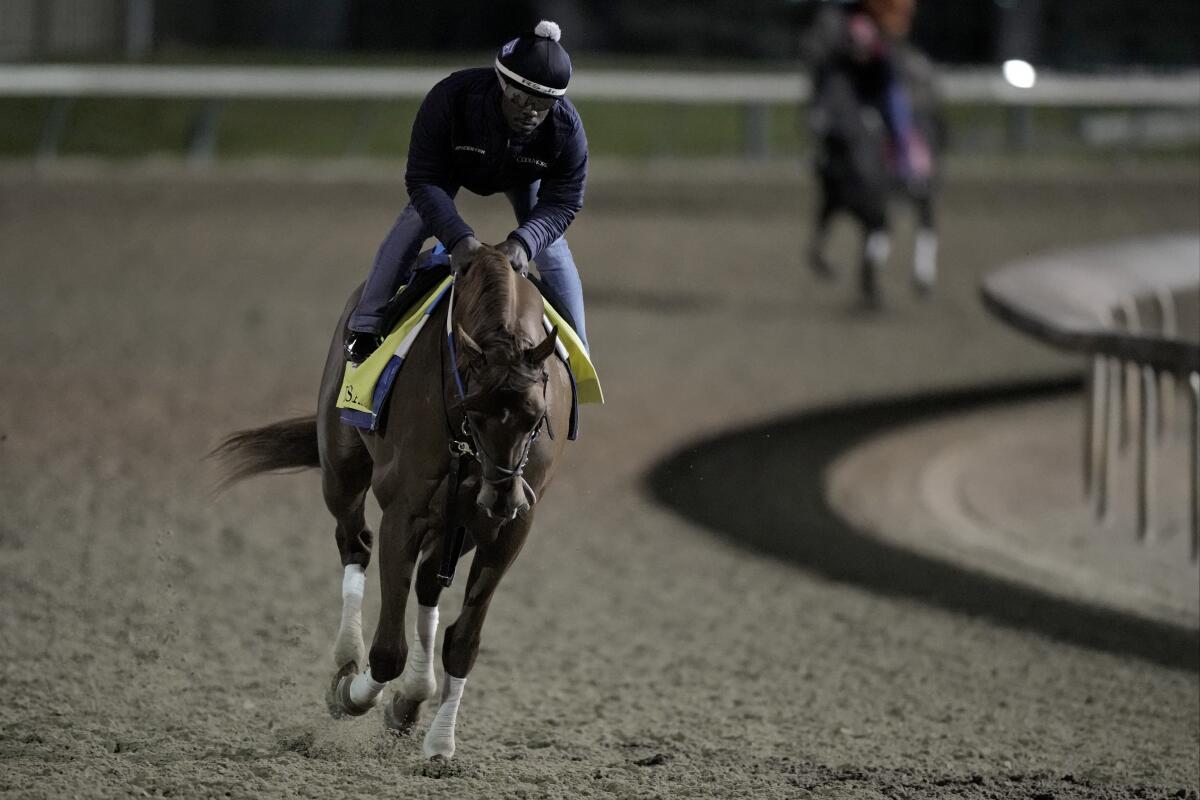 Kentucky Derby hopeful Disarm works out at Churchill Downs in Louisville, Ky.
