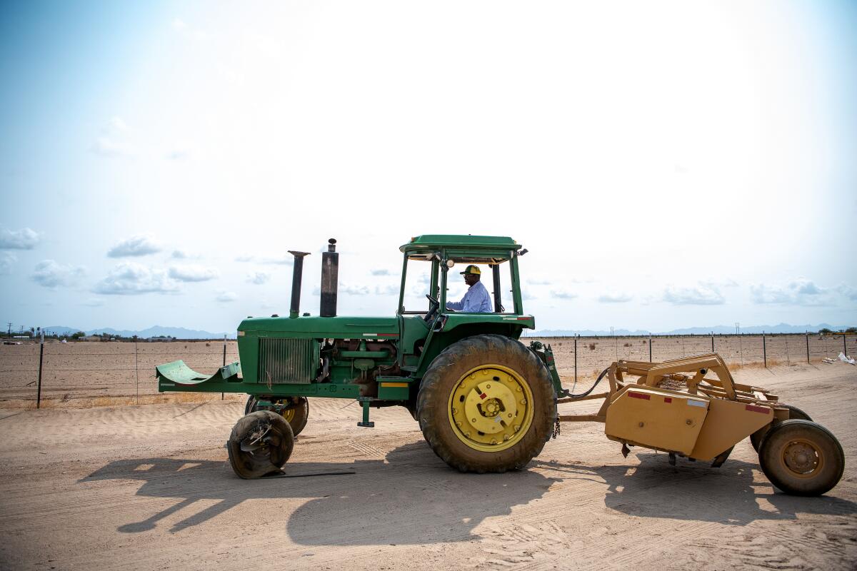 A farmer drives a tractor on a desert date farm.