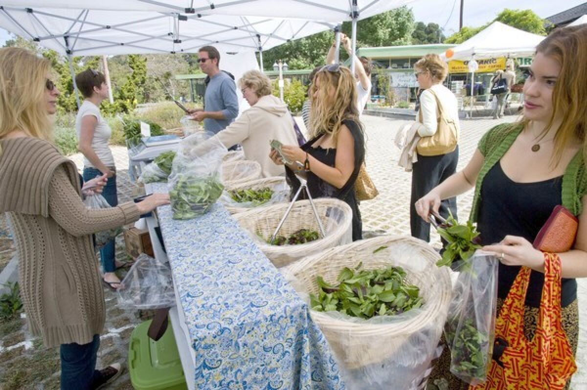 Customers buy greens grown by Maggie's Farm in Agoura Hills, at the Topanga farmers market.