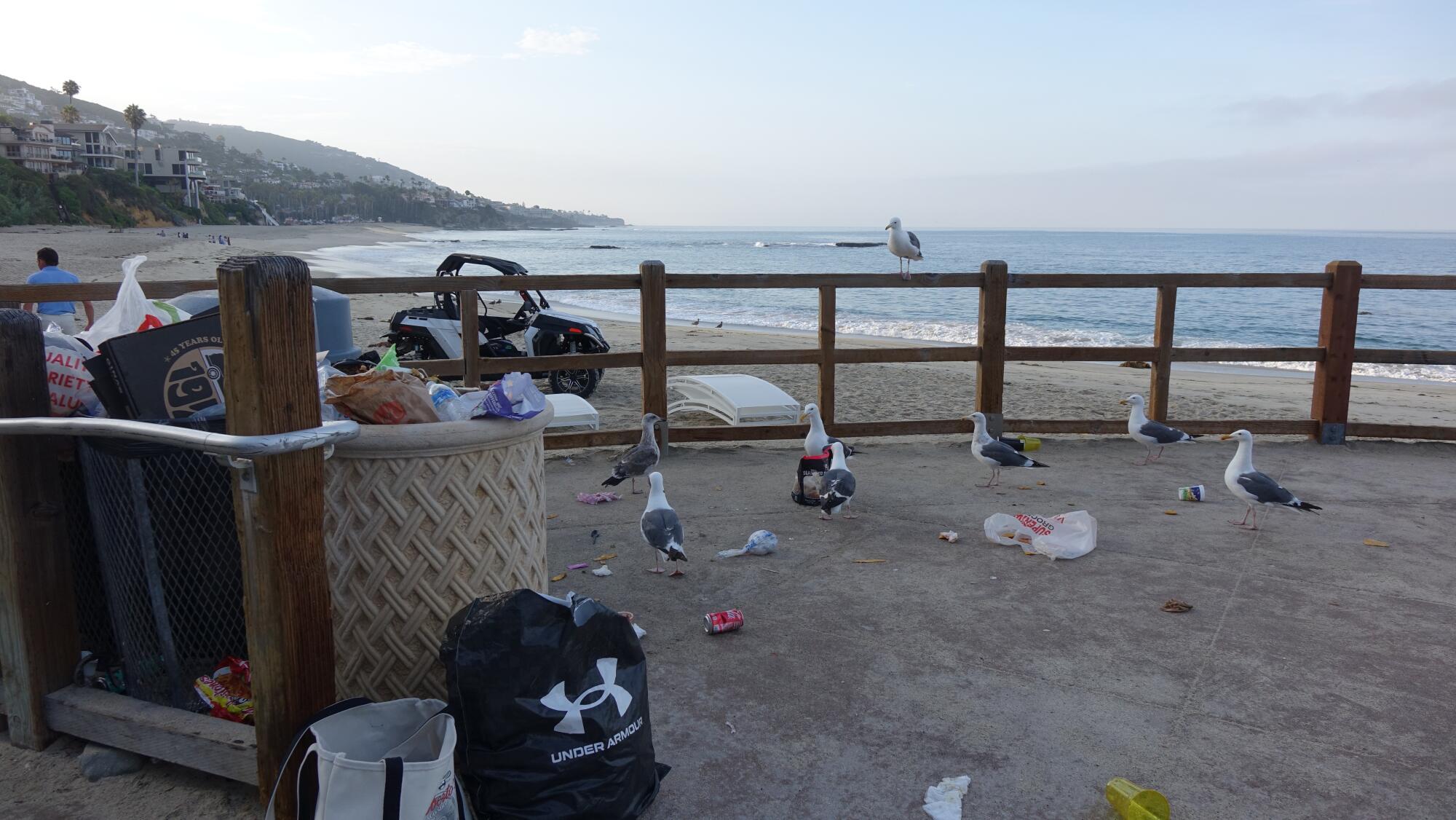 Seagulls take advantage of overflowing trash cans on Treasure Island beach in Laguna Beach.