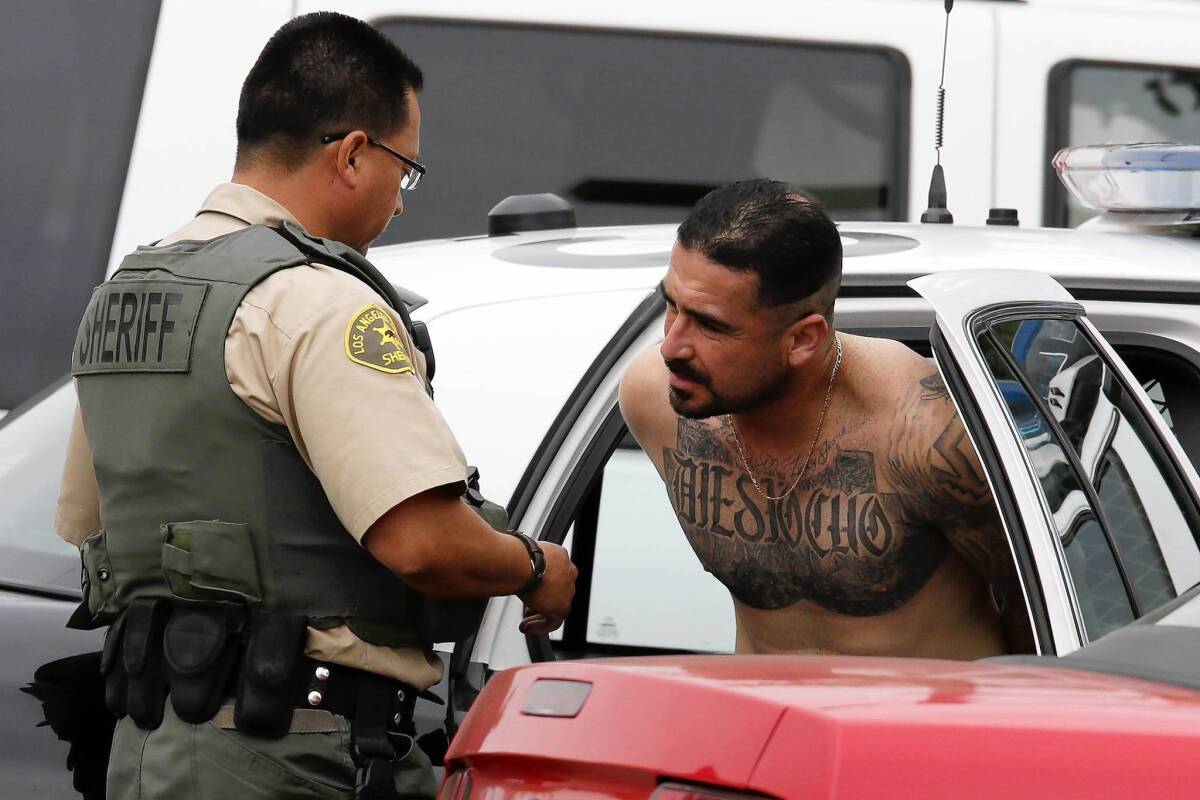 A Los Angeles County sheriff's deputy brings in a suspect arrested in the morning raids in Montebello. Seven reputed Montebello-area gang members have been arrested for their alleged involvement in at least half a dozen killings stemming from ongoing rivalries over drugs and turf, authorities said Wednesday.