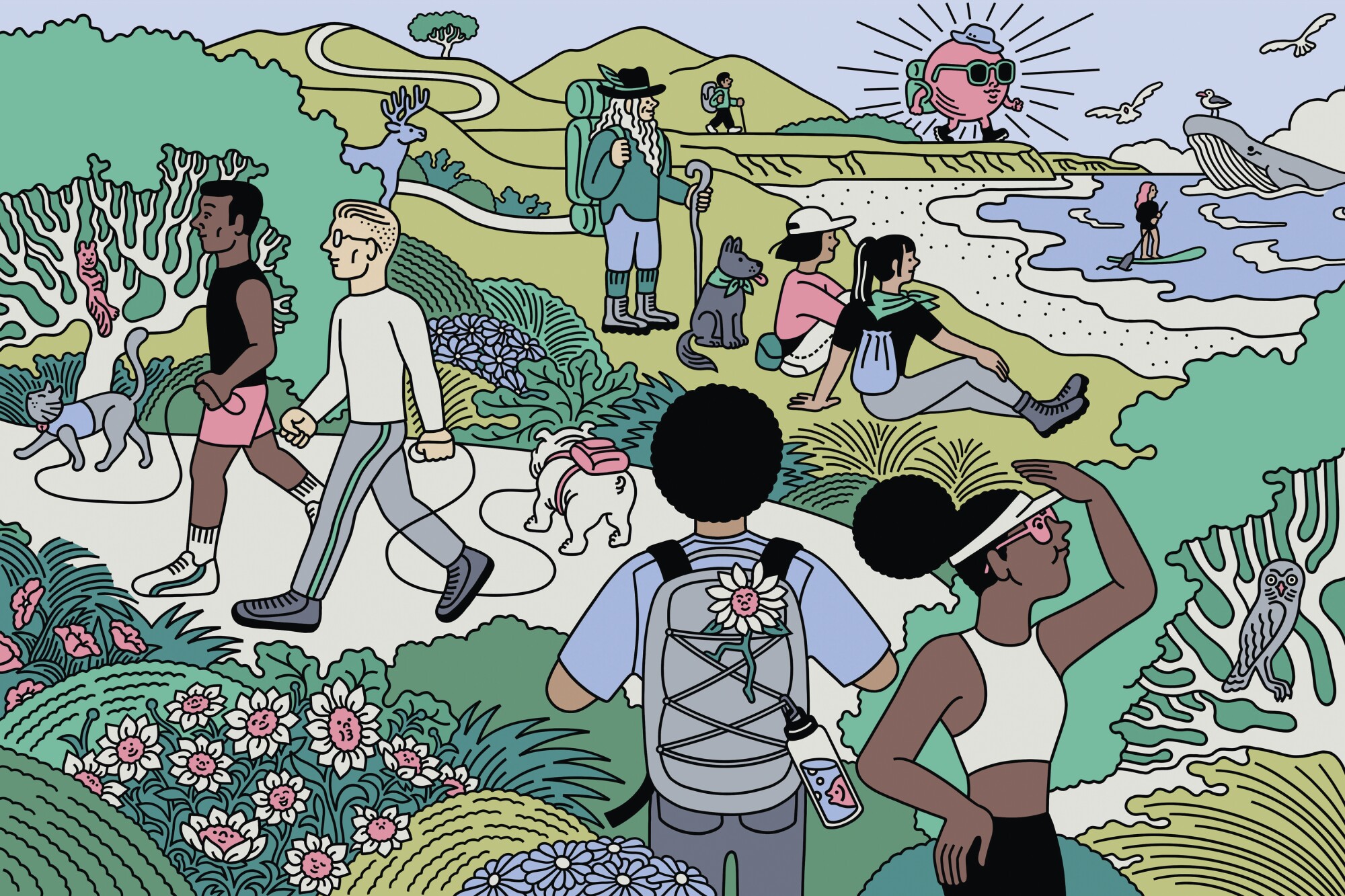 Illustration of people at the beach, walking dogs and hiking 