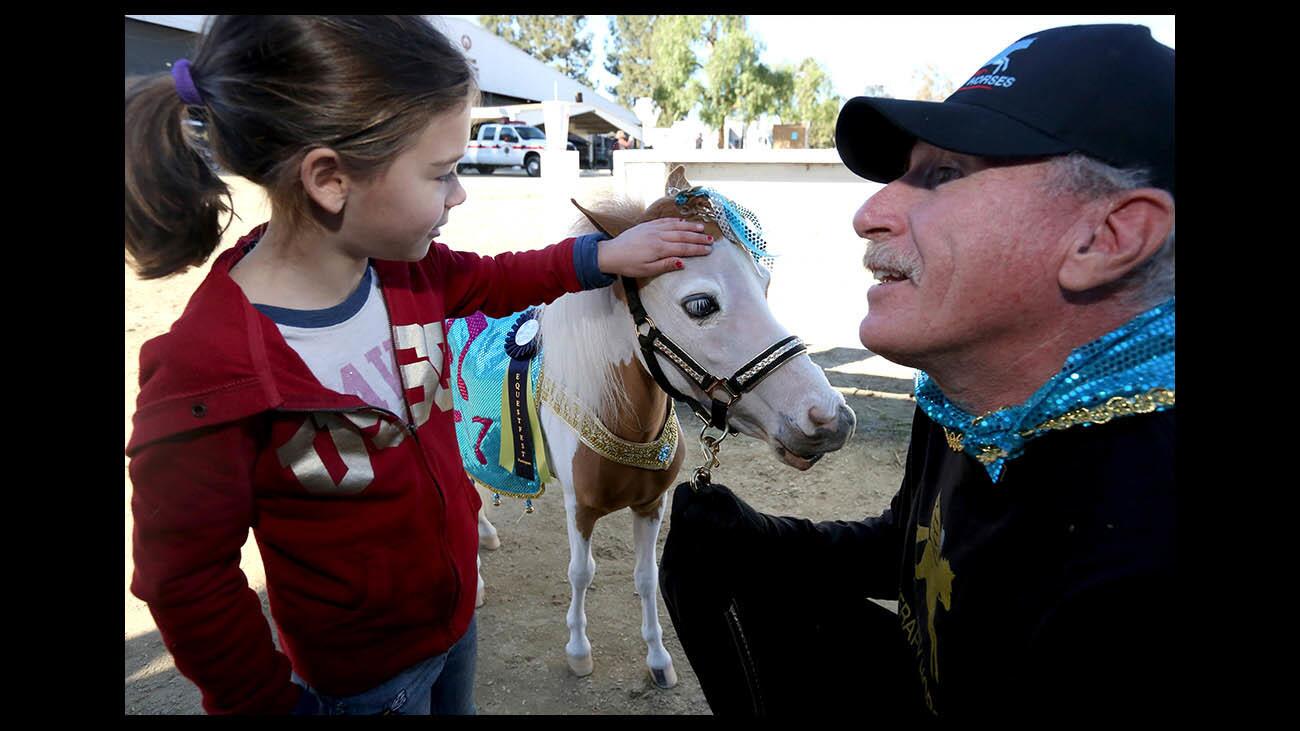 Photo Gallery: 29th annual Equestfest held at L.A. Equestrian Center in Burbank