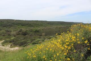 The Preserve at Torrey Highlands is proposed on the extension of Camino Del Sur, surrounded by the Del Mar Mesa Preserve.(