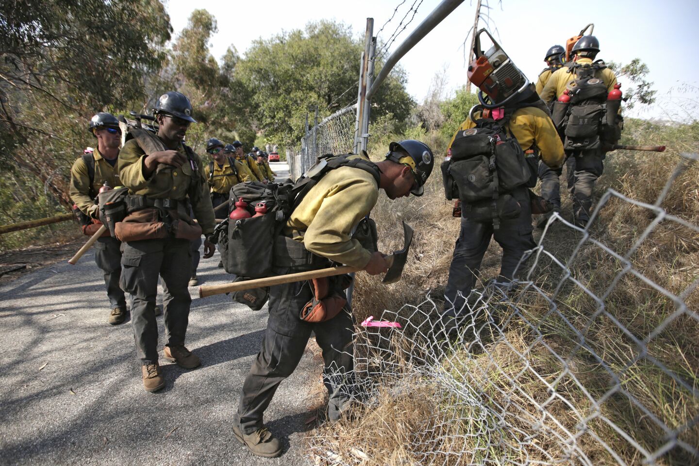 Sycuan Golden Eagle Hot Shots head into the brush to create a fire break near Spinks Canyon Road in Duarte as the San Gabriel Complex fire continues to burn.