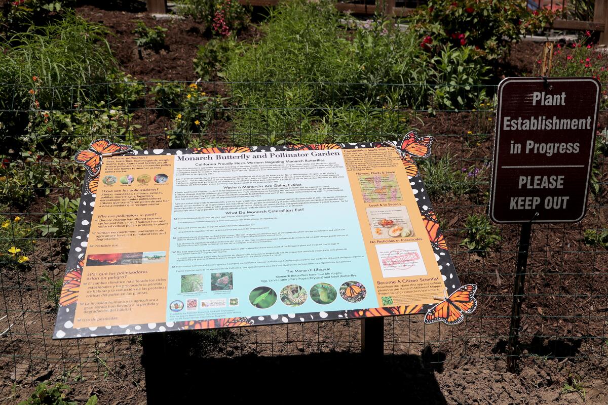 An educational sign is posted at the habitat garden for western monarch butterflies at Bluebird Park in Laguna Beach.