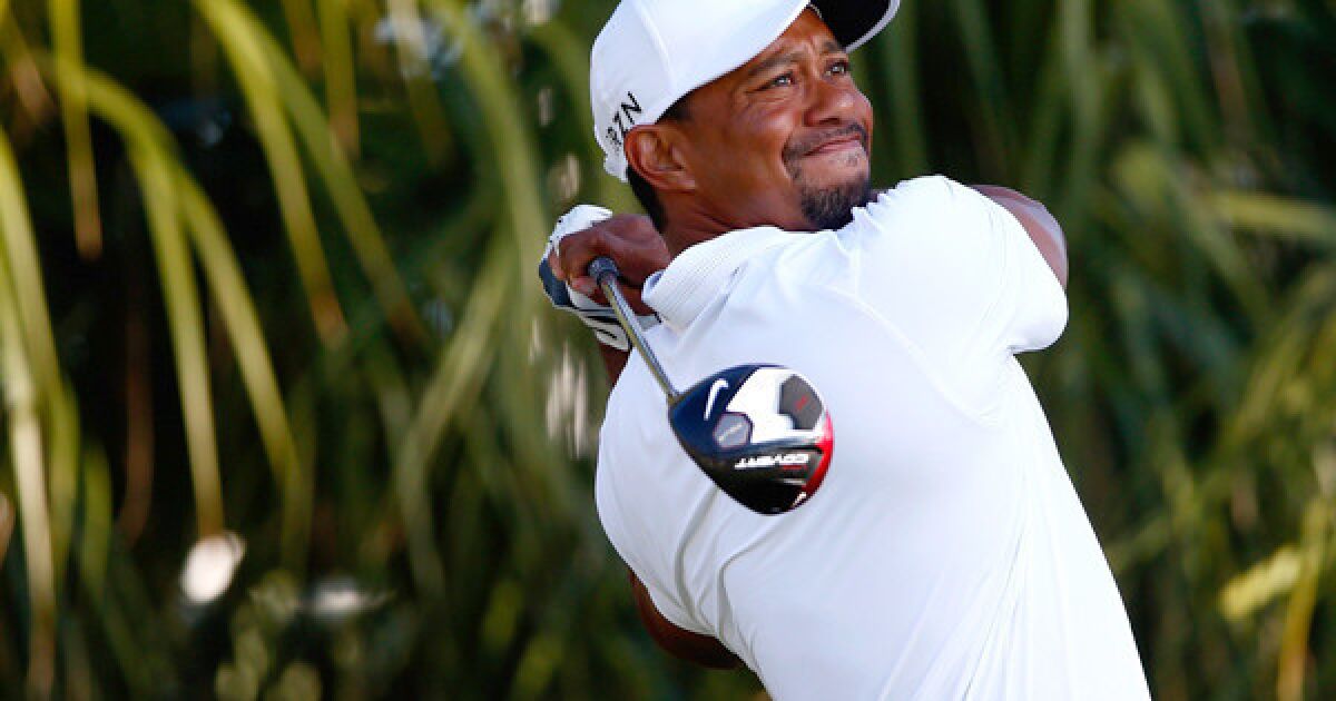Tiger Woods shoots thirdround 65 at Honda Classic Los Angeles Times