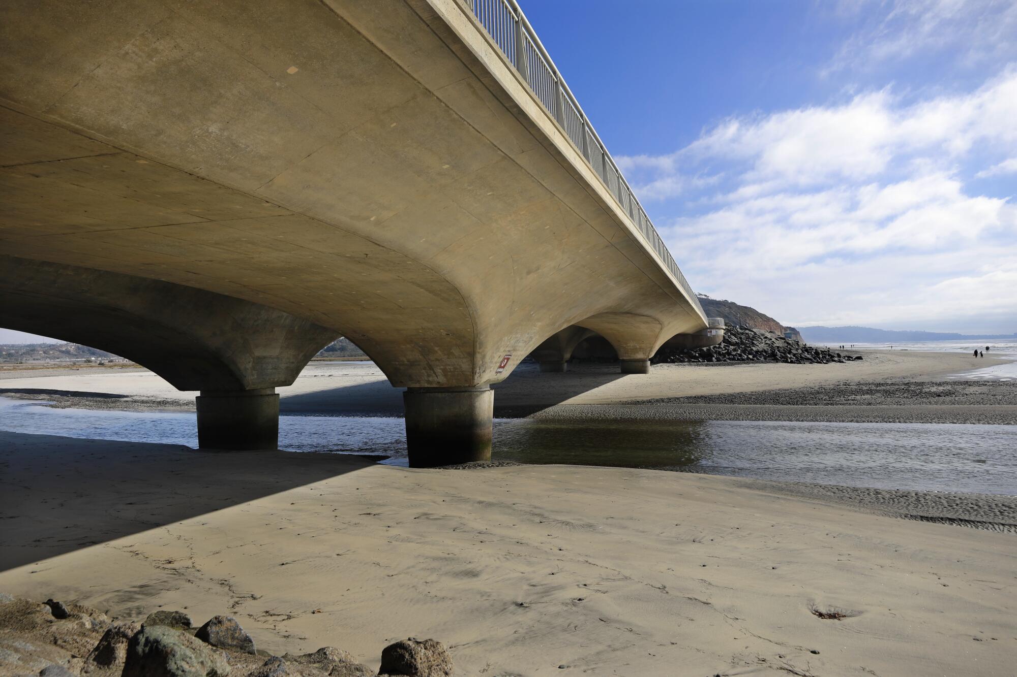 Claire Penelope Hough's body was found at Torrey Pines State Beach in 1984.