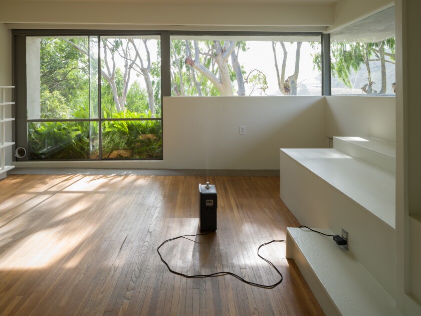 The diffuser sits in the middle of an empty room with wooden floors and large windows overlooking the plants and trees.