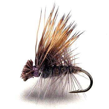 Elkhair Caddis