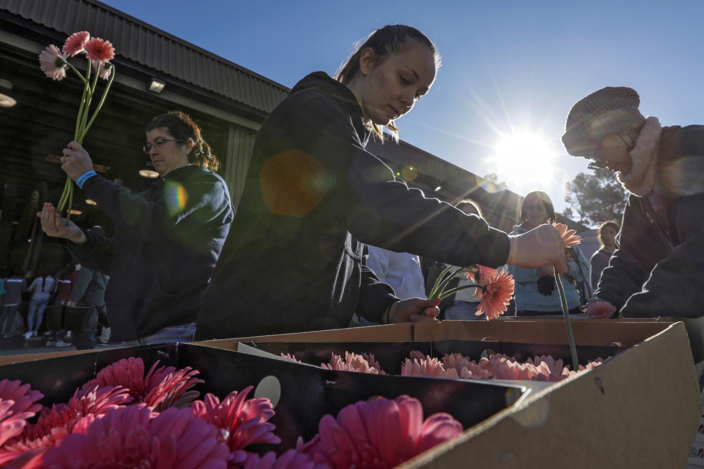 Volunteers scramble to put finishing touches on Rose Parade floats