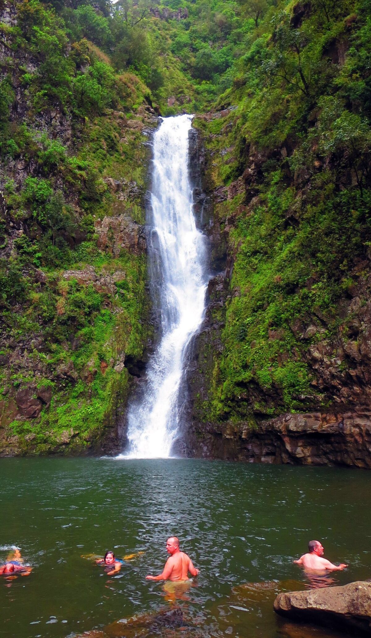 Only the bottom third of Mo’oula Falls in the Halawa Valley on Moloka’i can be seen from the pool at its base. After a long hike through the jungle, the chilly water is quite refreshing. Wendy Lemlin