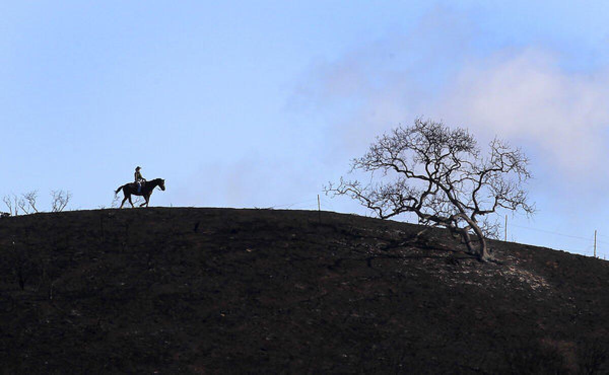 Rain clouds clear as a horse and rider crests a charred hillside at Rancho Sierra Vista in the Santa Monica Mountains National Recreation Area.