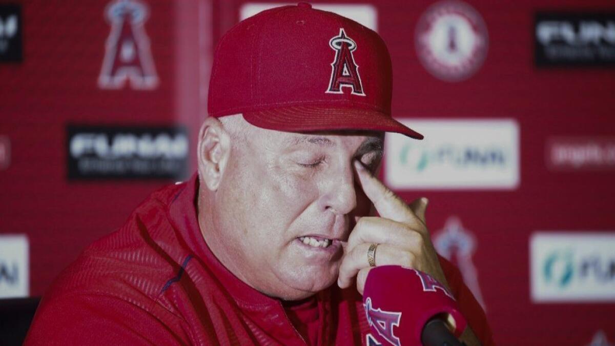 Mike Scioscia steps down as Angels manager after 19 years