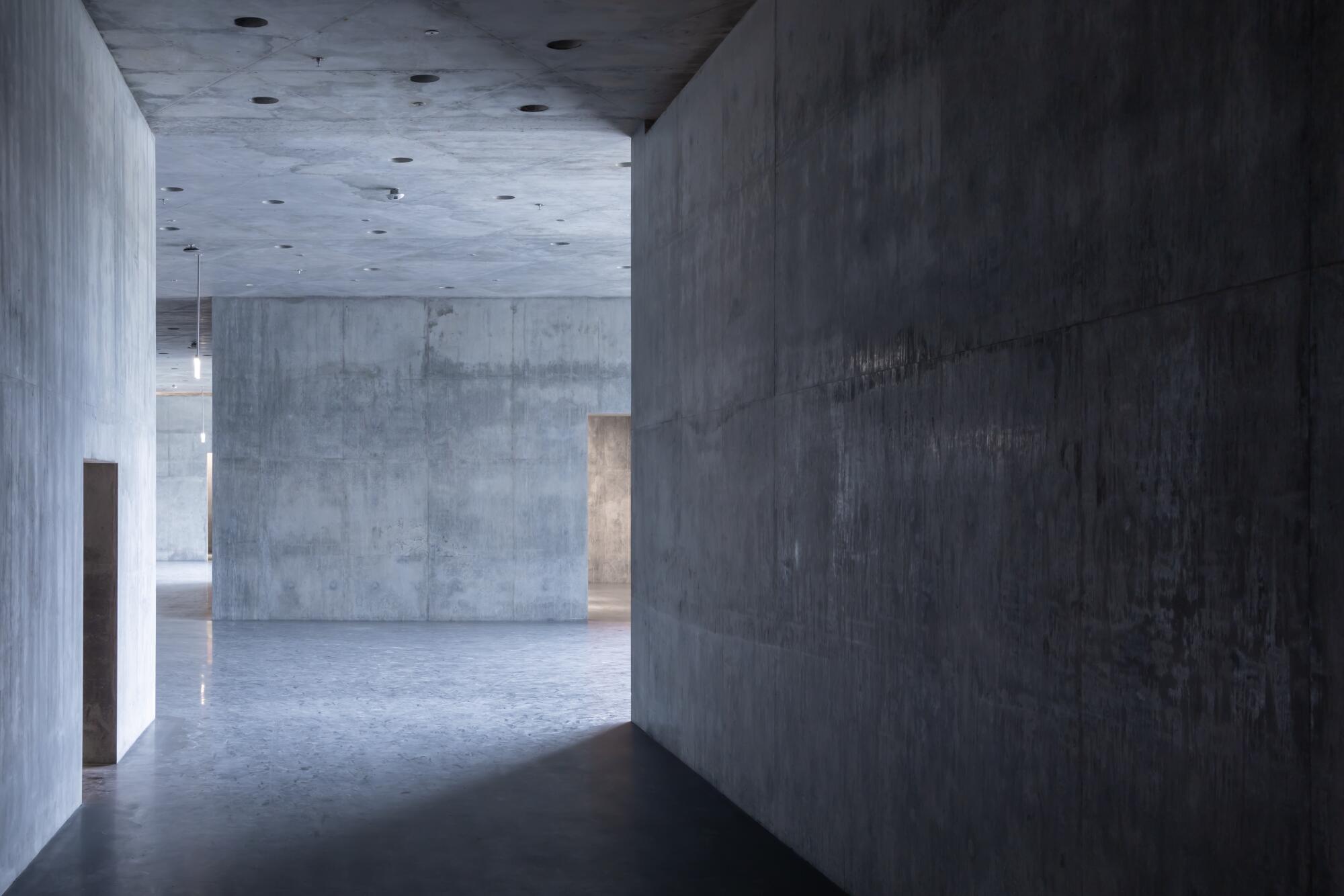 Horrizontal light enters from floor-to-ceiling windows around the perimeter of Peter Zumthor's LACMA design.