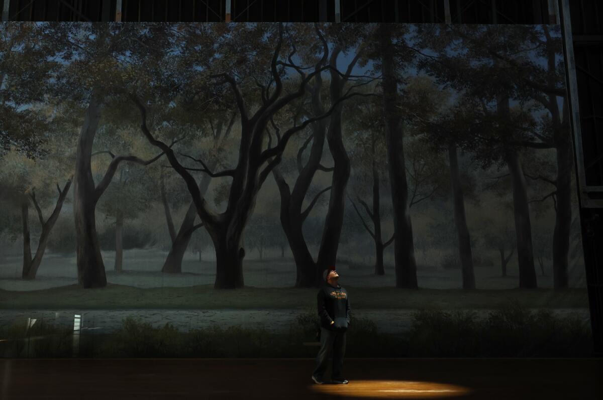 A person in front of a movie backdrop of a spooky forest.
