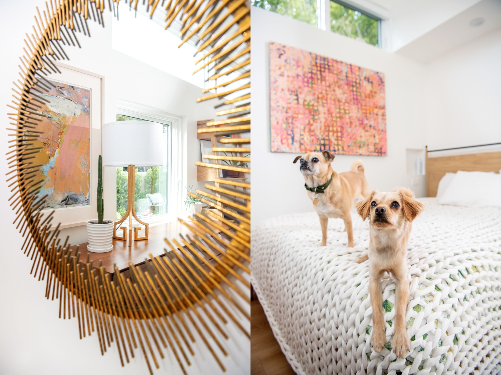 Two photos side by side, one of a mirror reflecting details inside a bedroom, the other of a pair of dogs sitting on a bed.