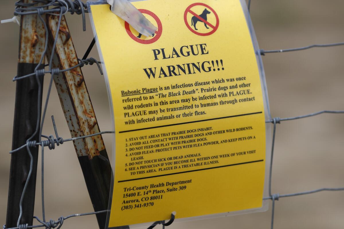 A yellow sheet with the words "Plague Warning!" attached to a frame with wires