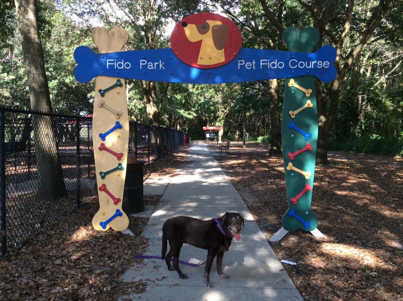 Adventures await at West Orange Dog Park in Winter Garden, which features plenty of shade, room to run, benches and tables plus toys to borrow. Buddy, a 13-year-old Labrador retriever, is a longtime patron.