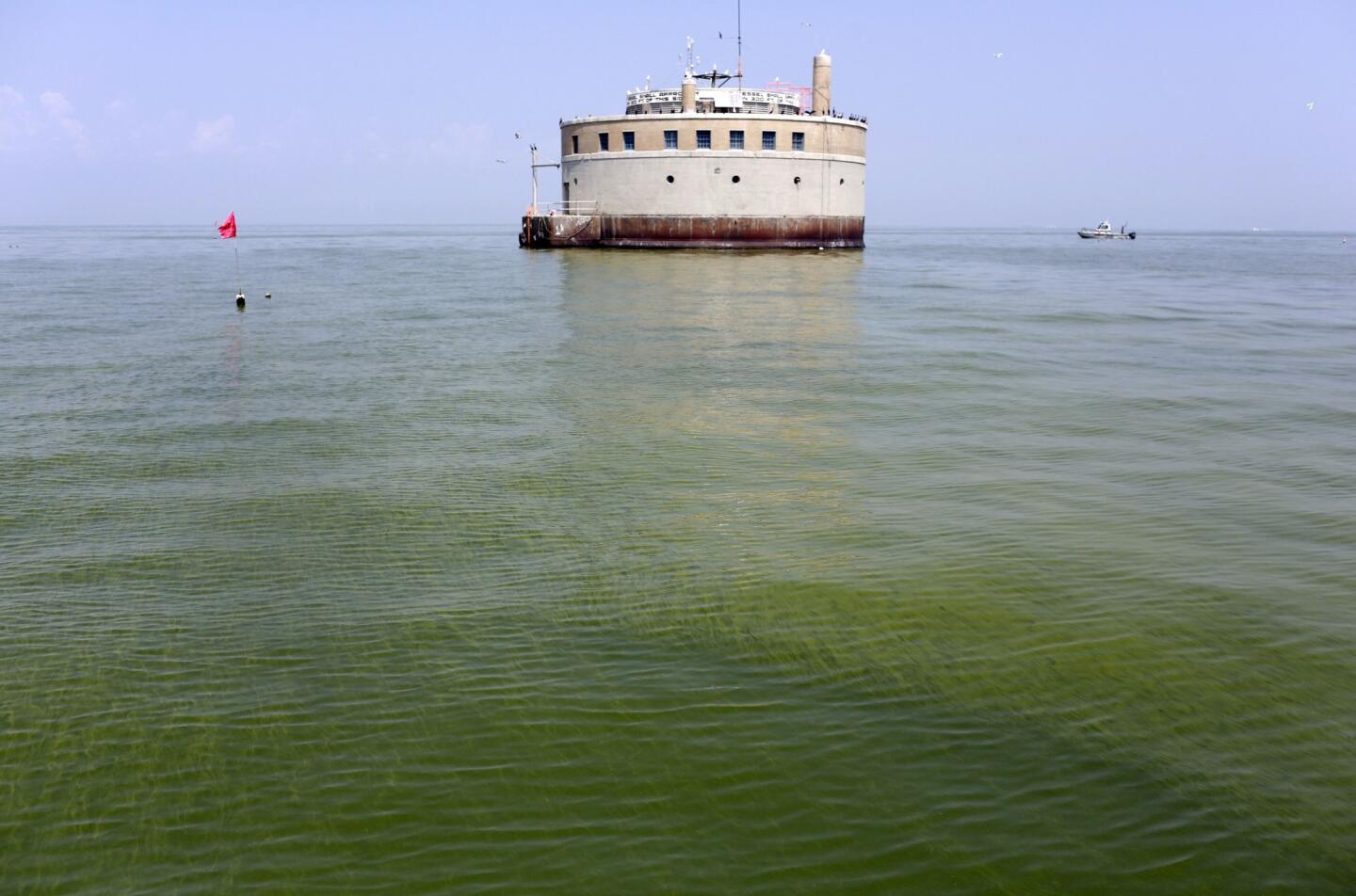 Toledo's water intake crib, about 2.5 miles into Lake Erie. Algae may be the source of a toxin in the water.