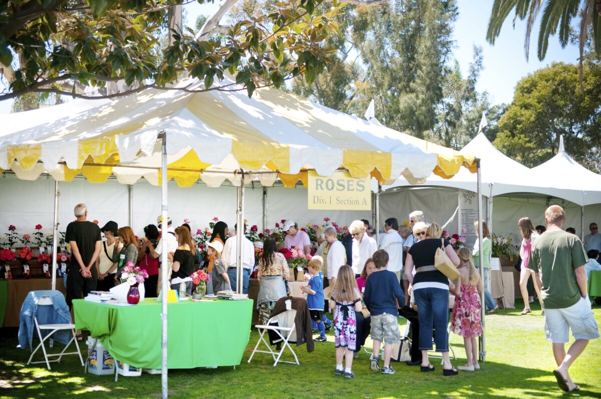 Visitors of all ages walk through a tented flower show. 