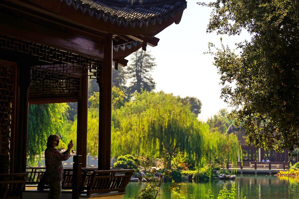 A person taking a photograph at the Chinese Garden