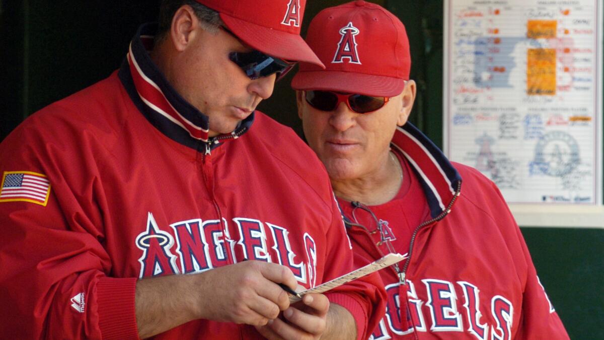 At age 66, Angels' Joe Maddon gets serious about preparation - Los Angeles  Times