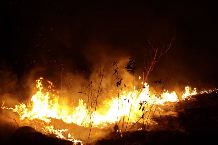 Amazon Rainforest Fires Burn To Despite Vows To Halt Them Los Angeles Times