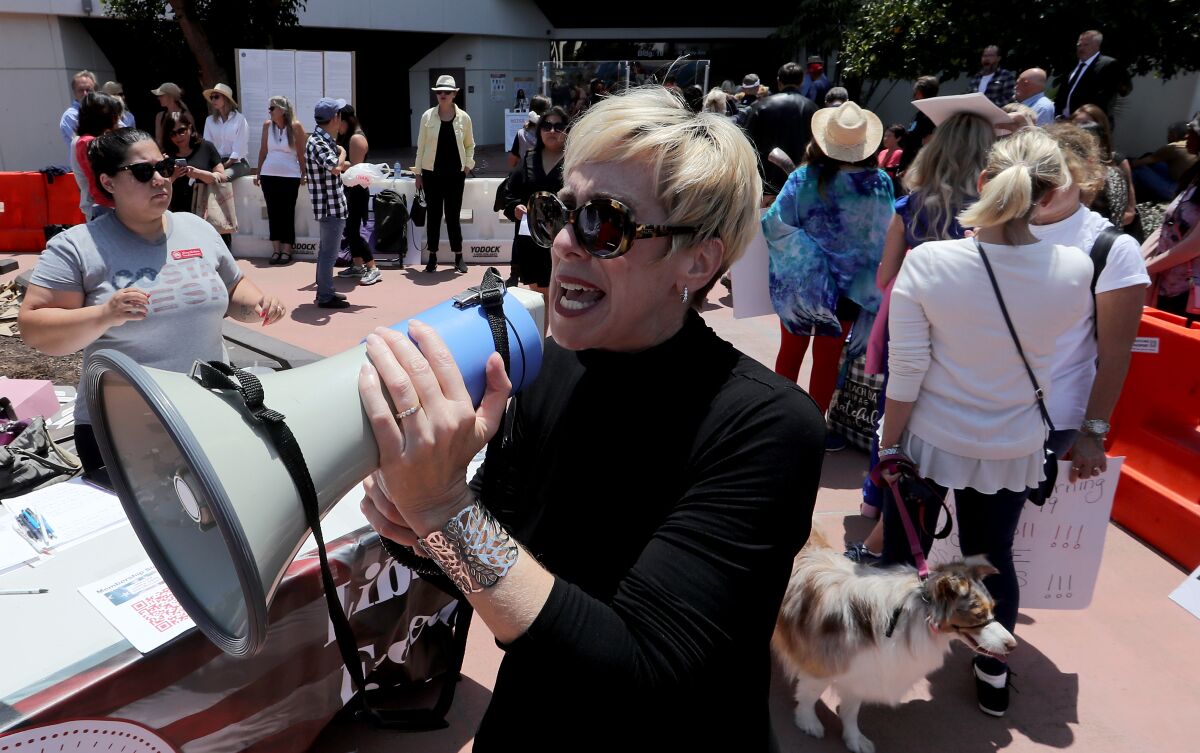 A protester with a megaphone