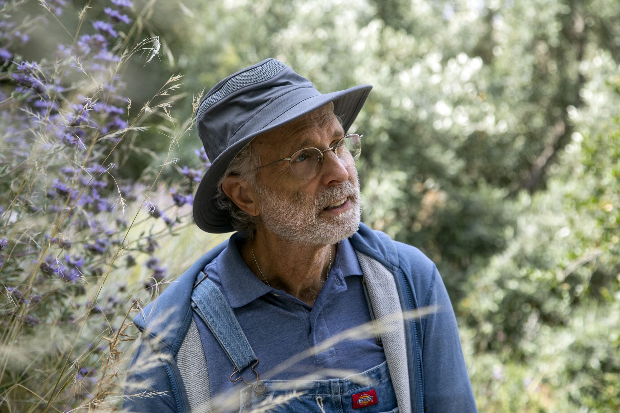 Bruce Schwartz sits in a lush growth of California native plants at his Eagle Rock house.