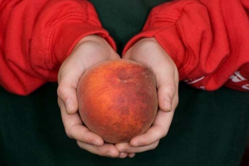 Elegant Lady peach (held by Alyssa Regier) grown by Regier Family Farms in Dinuba.