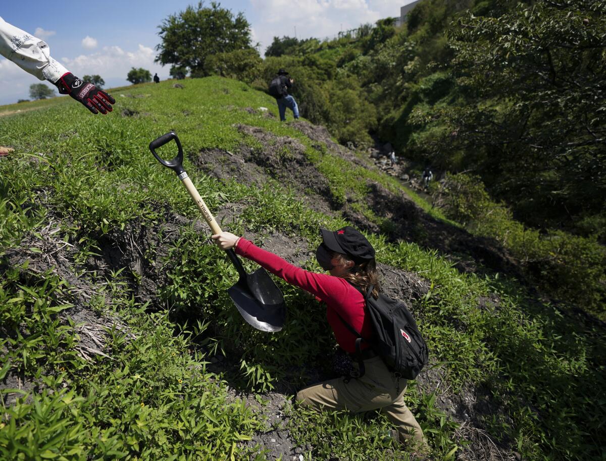 Volunteers use shovels as they search an area for the bodies of missing persons on the outskirts of Cuautla, Mexico, Tuesday, Oct. 12, 2021. The government's registry of Mexico’s missing has grown more than 20% in the past year and now approaches 100,000. (AP Photo/Fernando Llano)