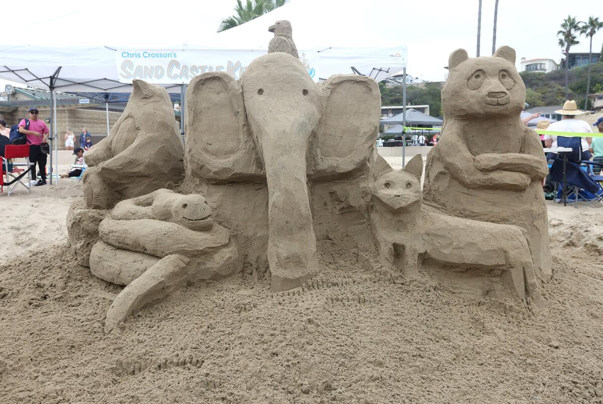 Chris Crosson's "World Animals" carved in the sand.