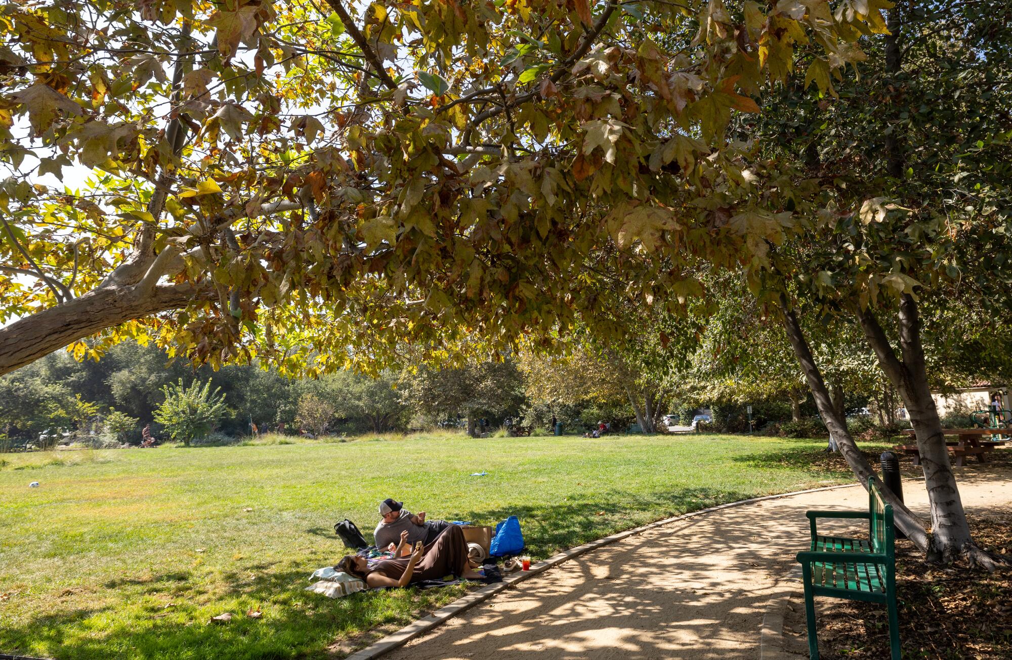 Una pareja disfruta de un picnic en el parque.